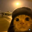 anthonyw17